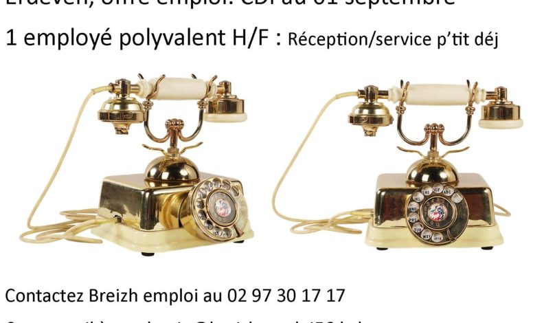 employé polyvalent H/F  réception service ptit déj