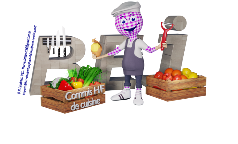 COMMIS h/f CUISINE PLONGE